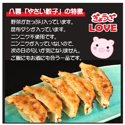 お酒によく合う　八雲やさい餃子+スパイシーカレー餃子(各10個入×2箱)