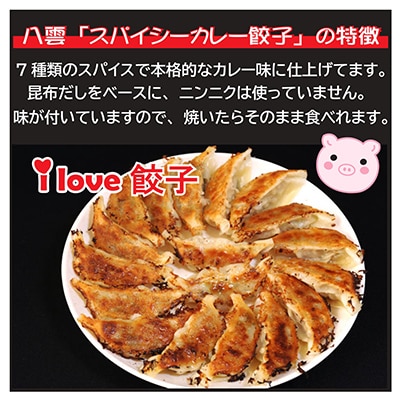 お酒によく合う　八雲やさい餃子+スパイシーカレー餃子(各10個入×2箱)