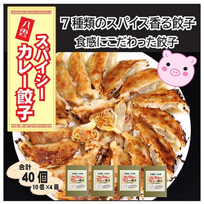 スパイシーカレー餃子(10個×4箱)