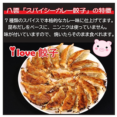 スパイシーカレー餃子(10個×4箱)