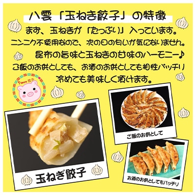 八雲たまねぎ餃子(10個入×4箱)