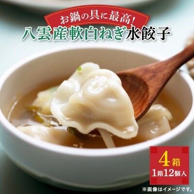 八雲産軟白ねぎ水餃子(12個入×4箱)