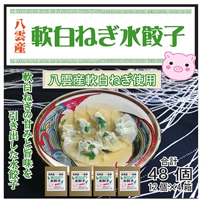 【先行予約】八雲産軟白ねぎ水餃子(12個入×4箱)