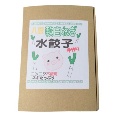 八雲産軟白ねぎ水餃子(12個入×4箱)