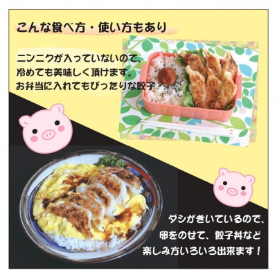 北海道八雲名物　八雲だし餃子(10個入×4箱)