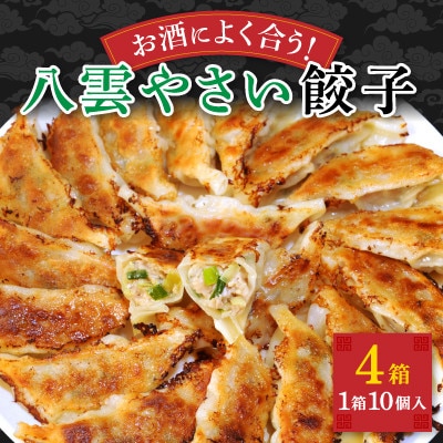 【毎月定期便】お酒によく合う野菜餃子40個(10個×4箱)全3回