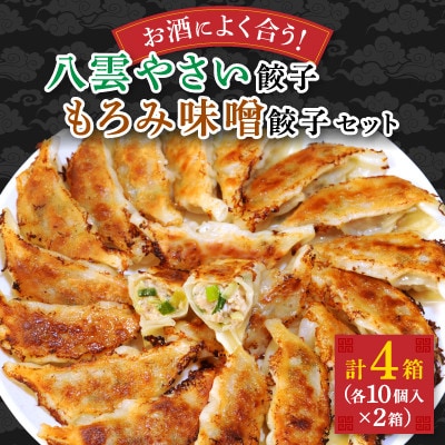 【毎月定期便】餃子2種セット40個(野菜餃子10個入り×2箱・もろみ味噌餃子10個入り×2箱)全2回