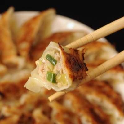 【毎月定期便】餃子2種セット40個(野菜餃子10個入り×2箱・もろみ味噌餃子10個入り×2箱)全2回