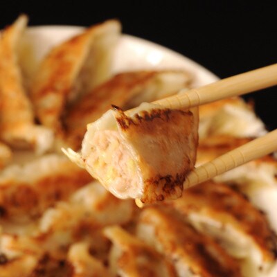 【毎月定期便】餃子2種セット40個(野菜餃子10個入り×2箱・もろみ味噌餃子10個入り×2箱)全2回