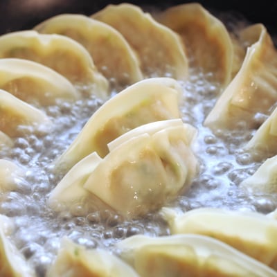 【毎月定期便】八雲もろみ味噌餃子40個(10個×4箱)全2回
