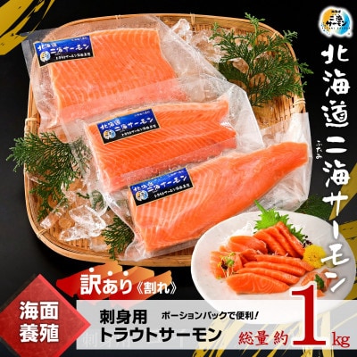 【訳あり】【数量限定】北海道二海サーモン 刺身用 約1kg(500×2) トラウトサーモン　海鮮