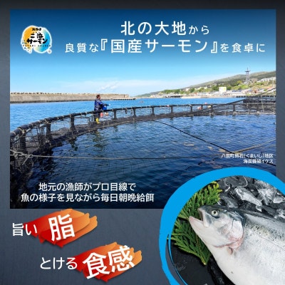 【訳あり】【数量限定】北海道二海サーモン 刺身用 約1kg(500×2) トラウトサーモン　海鮮