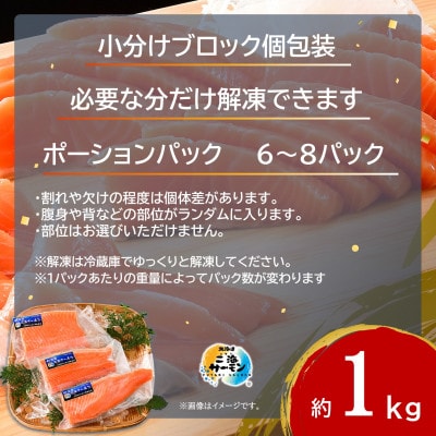 【訳あり】【数量限定】北海道二海サーモン 刺身用 約1kg(500×2) トラウトサーモン　海鮮