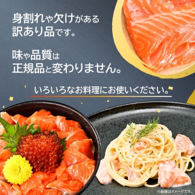 【訳あり】【数量限定】北海道二海サーモン 刺身用 約1kg(500×2) トラウトサーモン 海鮮