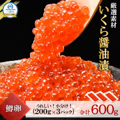 【数量限定1200セット】いくら醤油漬(鱒)200g×3パック(合計600g) 小分け 北海道