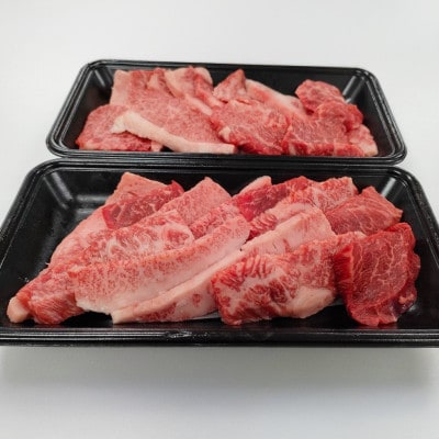 【神戸ビーフ】訳アリ　焼肉用切り落とし　小分け250g×2【バラ、肩ロース、モモ、ロース等】