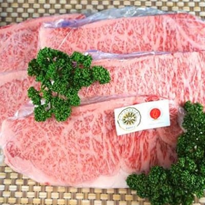 2020年7月発送開始『定期便』【牧場直売店】兵庫県産神戸ビーフ 定期便(4回コース)全4回
