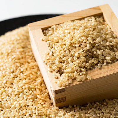 令和8年産　阿曽レンゲ米(ヒノヒカリ15kg)【玄米】