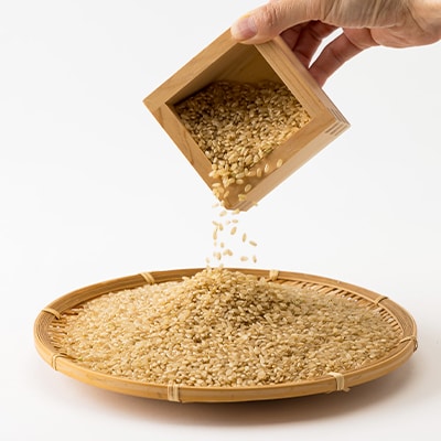 令和5年産　揖保川の清流米(ヒノヒカリ30kg) 【玄米】