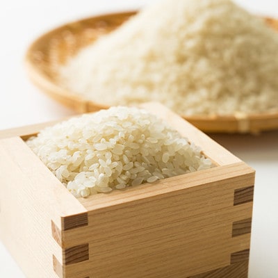 令和6年産　揖保川の清流米(ヒノヒカリ12kg)　【白米】
