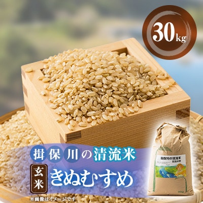 令和8年度　揖保川の清流米(きぬむすめ30kg)【玄米】