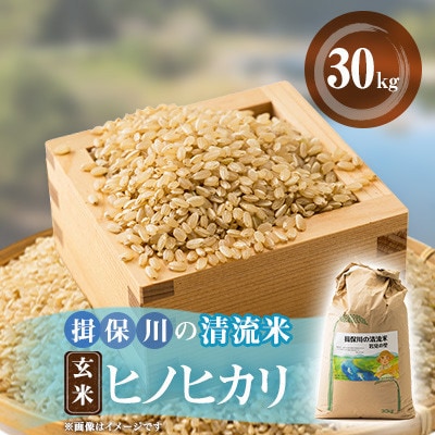 令和8年産　揖保川の清流米(ヒノヒカリ30kg) 【玄米】
