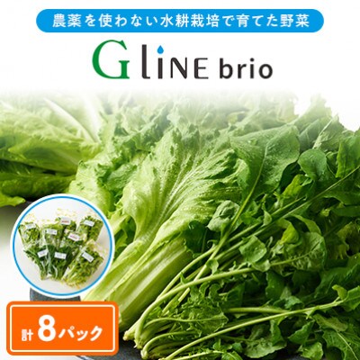 【毎月定期便】G Line brio レタス8パックセット全3回