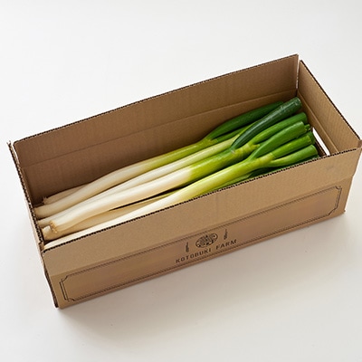 太子町産白ネギ3kg