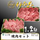 神戸牛　TSYS5　焼肉用セット　合計　1200g