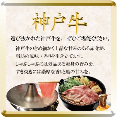 神戸牛 すき焼き・切り落とし肉セット 計900g TSS3 【2026年4月より順次発送】