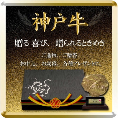 神戸牛 ロースステーキ 250g×2枚 計500g TSST5 【2026年4月より順次発送】