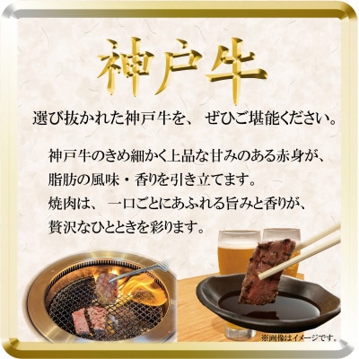 神戸牛 焼肉用セット 計1Kg TSYS5 【2026年4月より順次発送】