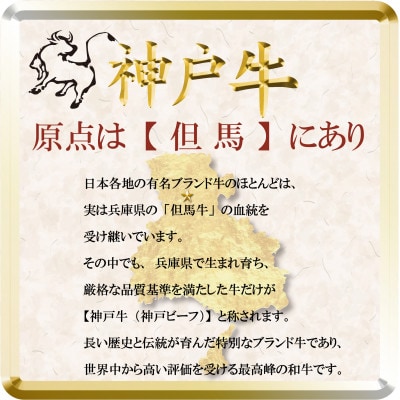 神戸牛 焼肉用セット 計1Kg TSYS5 【2026年4月より順次発送】