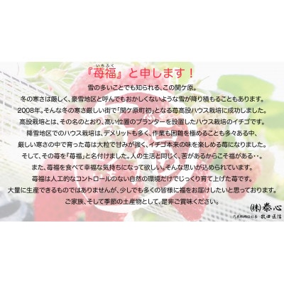 【関ケ原町産苺福使用】苺福みるくぷりん　5個セット