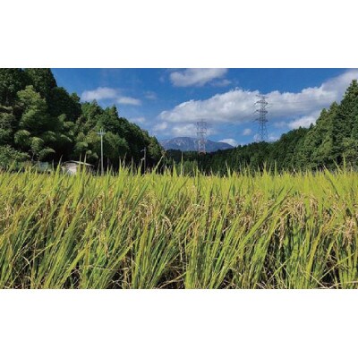 関ケ原町中挟地区限定米 コシヒカリ 精米 3kg
