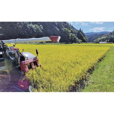 関ケ原町中挟地区限定米 コシヒカリ 精米 3kg