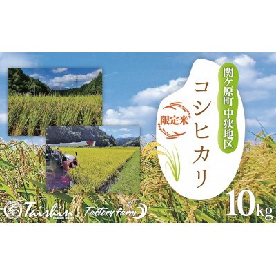 関ケ原町中挟地区限定米 コシヒカリ 精米 10kg