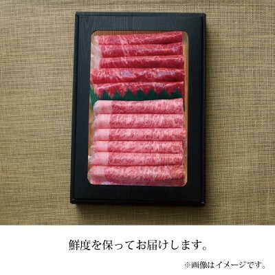 【化粧箱入り・最高級A5等級】飛騨牛ロース・モモしゃぶしゃぶセット計500g