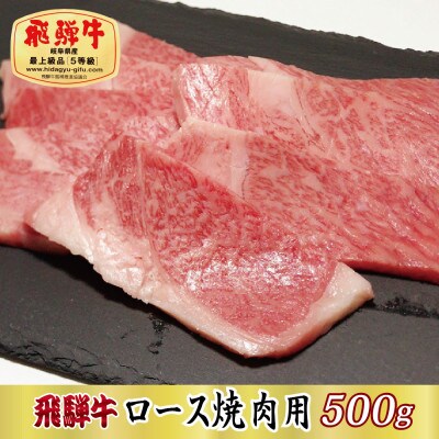 【最高級A5等級】飛騨牛ロース焼肉用500g(牛脂付き)