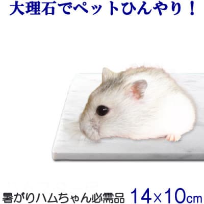 ハムスターひんやり大理石マット 14×10センチ イタリア産 ビアンコカラーラ