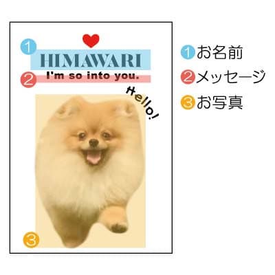 ペットの可愛いお写真をキーホルダーに♪うちの子アクリルキーホルダー(デザインA/背景色:ピンク)