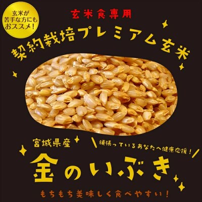 金のいぶきプレミアム玄米ごはん 120g×36個