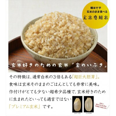 金のいぶきプレミアム玄米ごはん 120g×36個