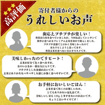 金のいぶきプレミアム玄米ごはん 120g×36個