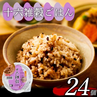 ご飯パック 十六雑穀ごはん 160g×24個