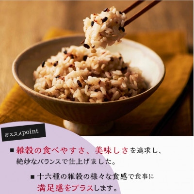 ご飯パック 十六雑穀ごはん 160g×72個