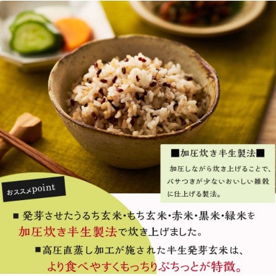 ご飯パック 発芽玄米ごはん 160g×24個