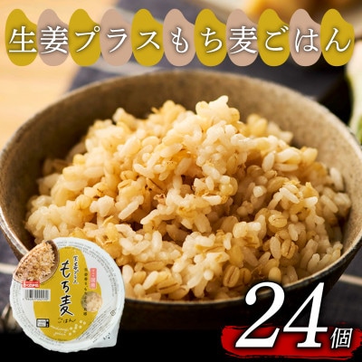 生姜プラスもち麦ごはん 160g×24個