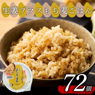 生姜プラスもち麦ごはん 160g×72個