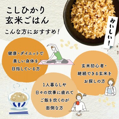 こしひかり玄米ごはん 160g×24個
